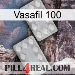 Vasafil 100 17